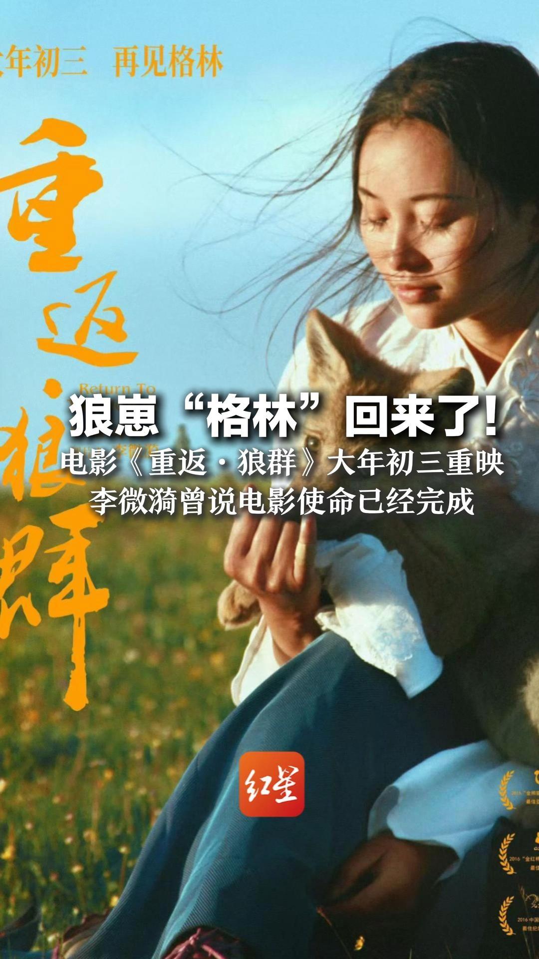 狼崽"格林"回来了!电影《重返·狼群》大年初三重映 李微漪曾说电影使