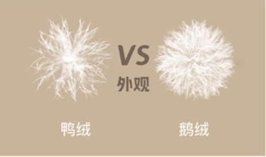 关于羽绒服的那些事,一次给你说清楚!