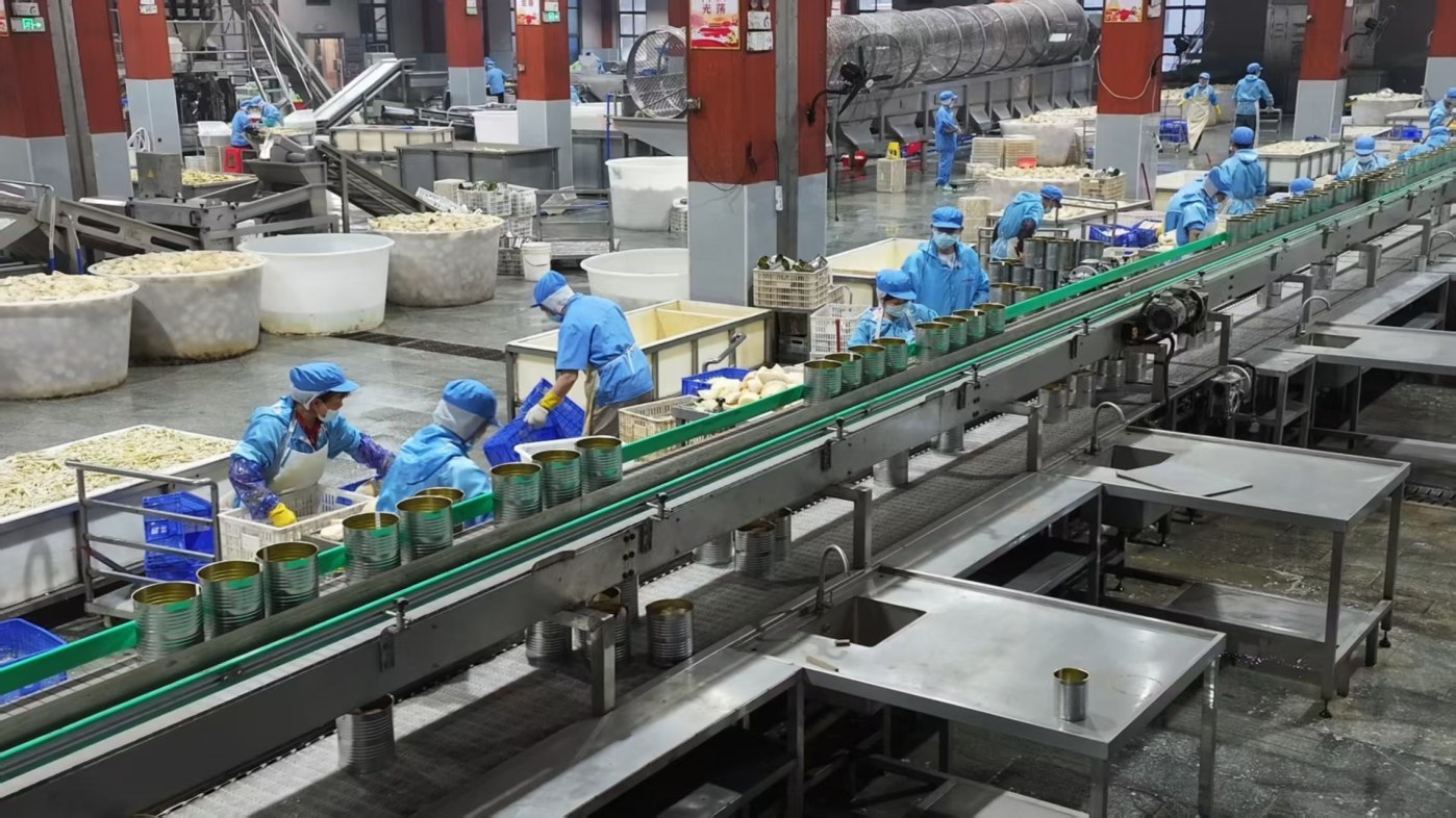 抚州乐安:森林食品产业园赶制“年味好物” 竹笋罐头海外畅销