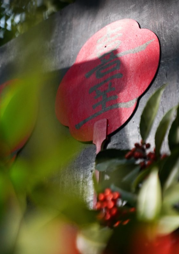 江北這個(gè)村很火!村咖、茶館、民宿、徒步......快來(lái)打卡→