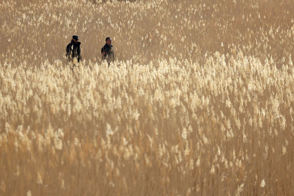 甘肃敦煌西湖国家级自然保护区管护中心玉门关保护站站长吴兴东（右）和同事孙海隆在保护区内巡护（2月5日摄）