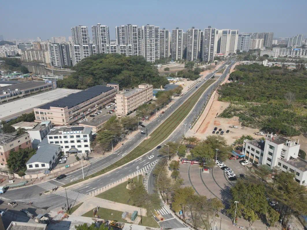 中山港义路（海傍段）正式通车 打通区域交通“瓶颈”