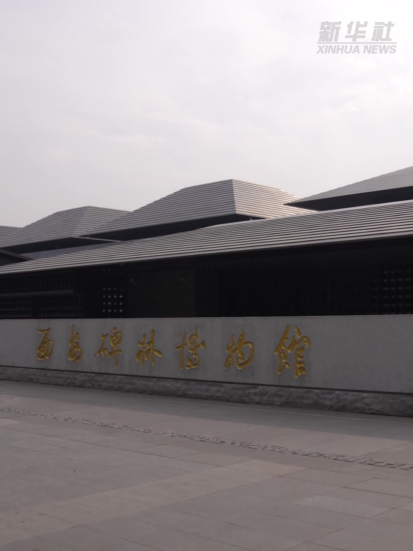 马年说“马”｜国宝级“天团”昭陵六骏：刻在石头上的大唐史诗