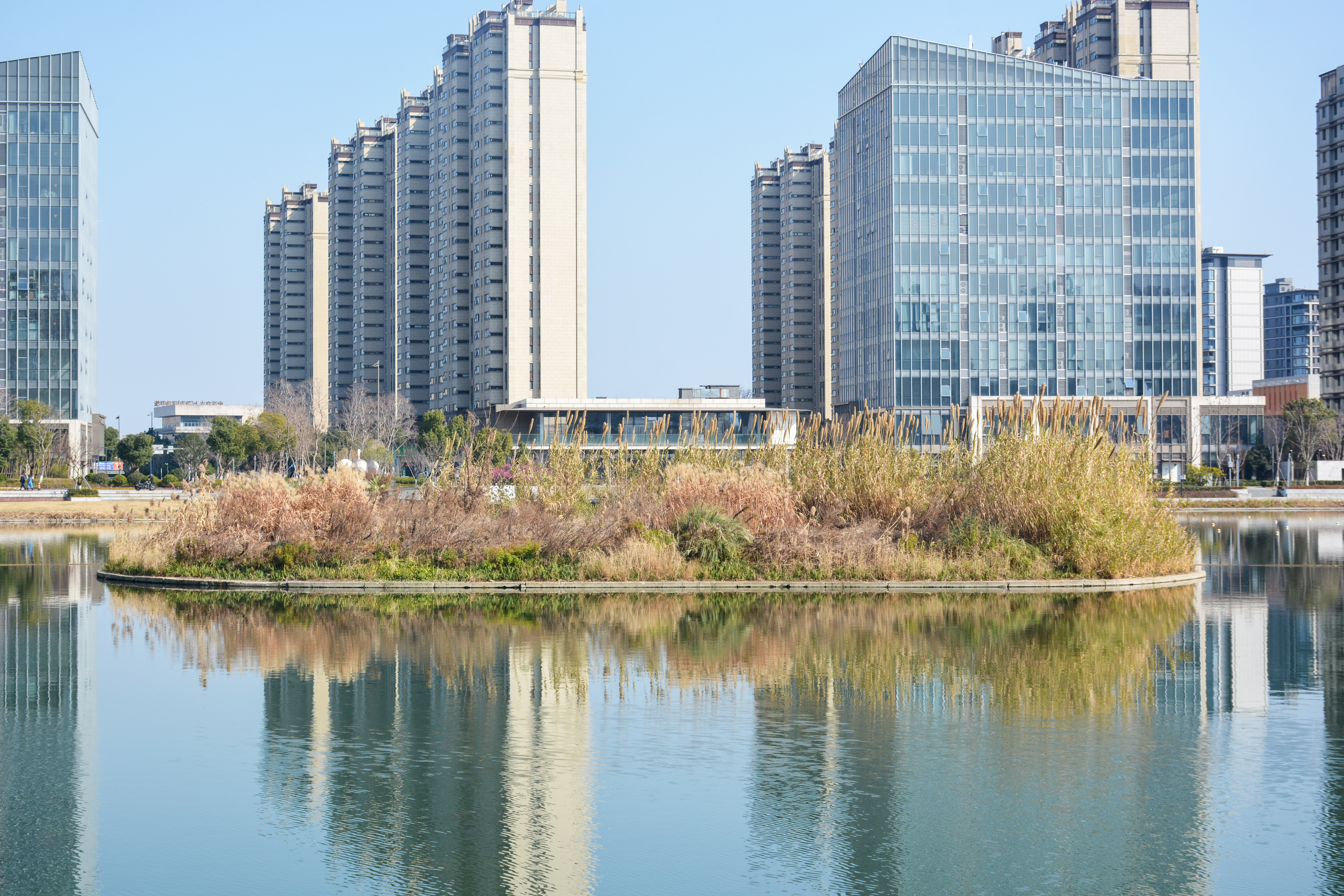江北星湖公园依托“精野结合”新模式，守护鸟类越冬栖息地