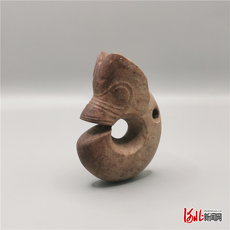 郑家沟遗址一号积石冢出土的玦形玉龙。 河北省文物考古研究院供图