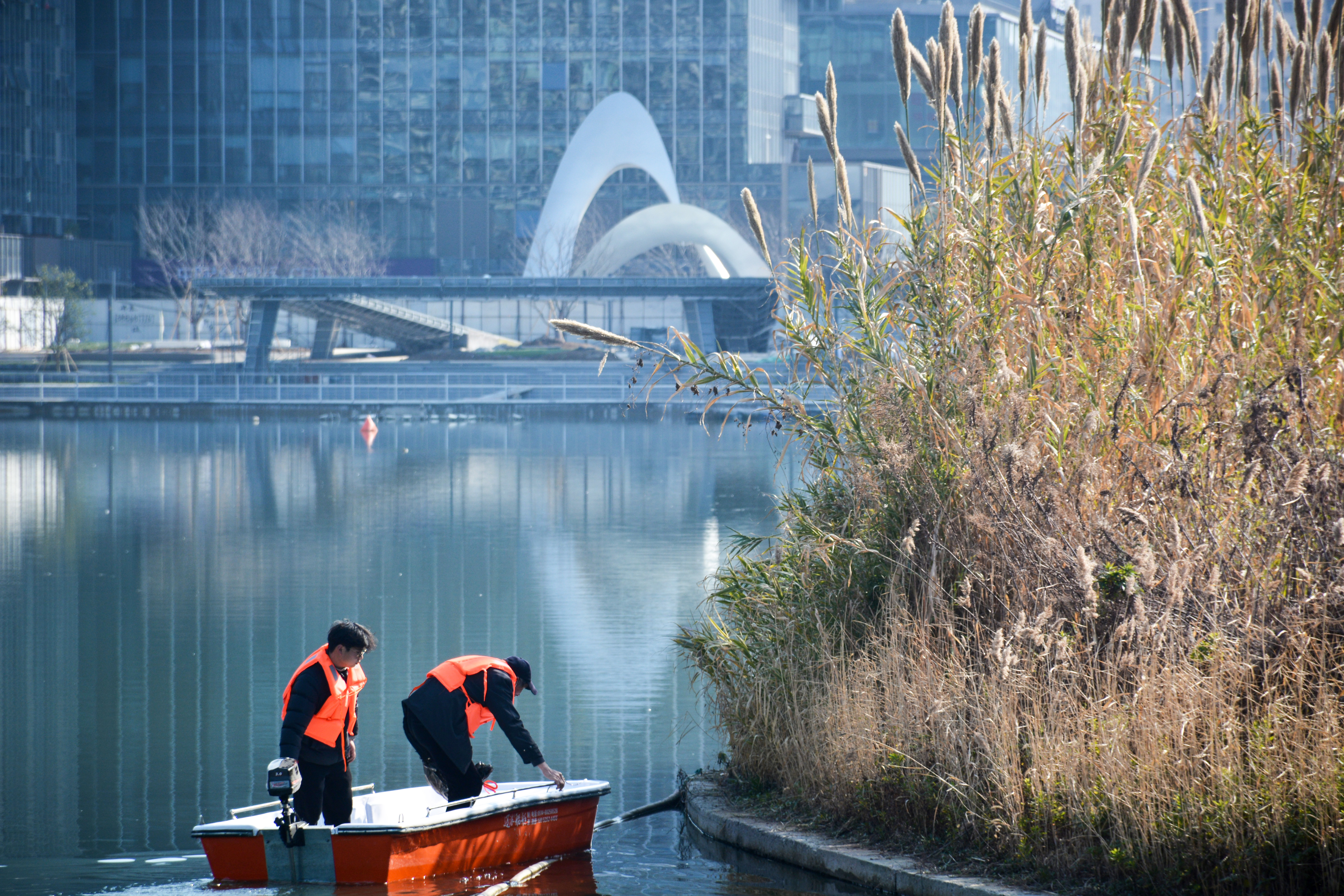 江北星湖公园依托“精野结合”新模式，守护鸟类越冬栖息地