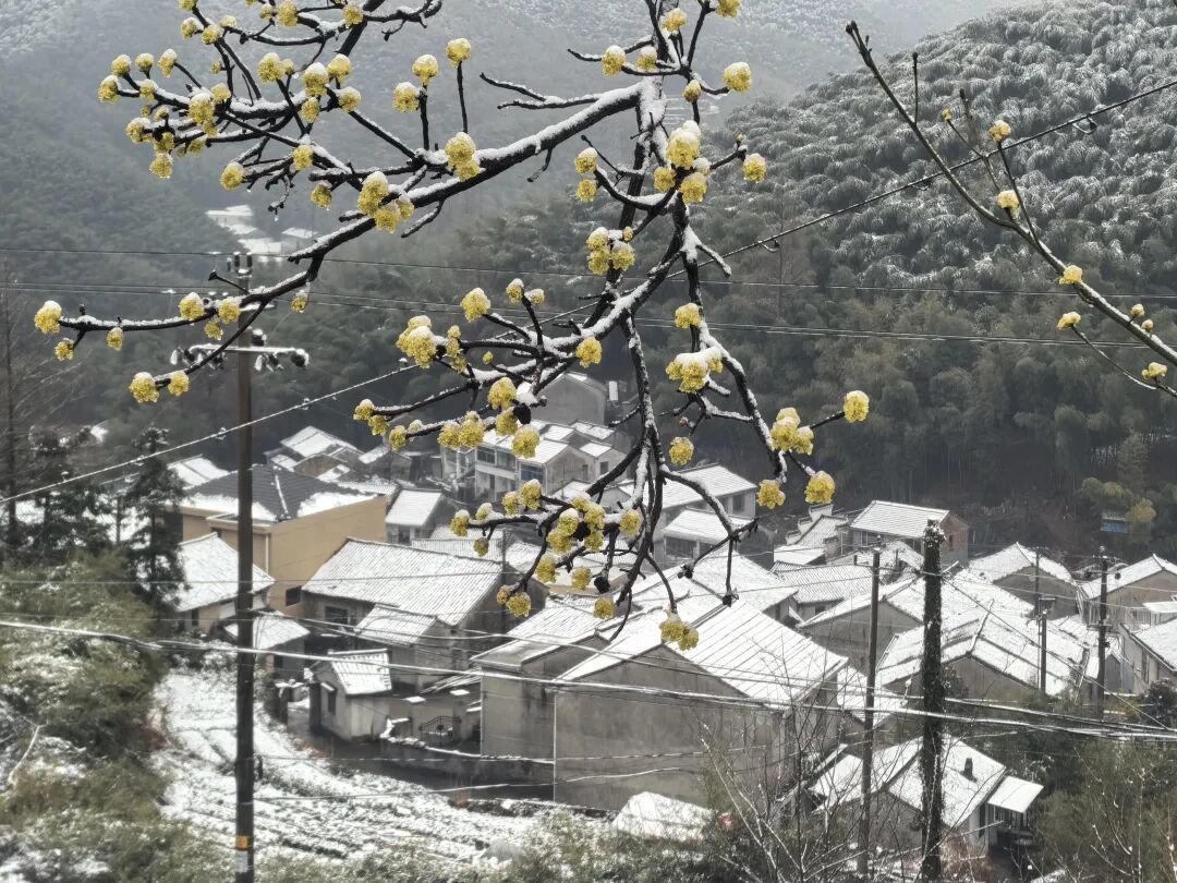 明显积雪！道路结冰！最低-7℃，非必要不上山