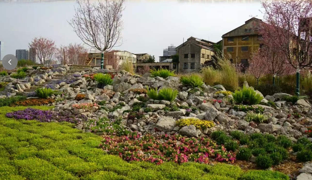 旧糖厂里开繁花！顺德这一场跨越时空的城市约会等你来