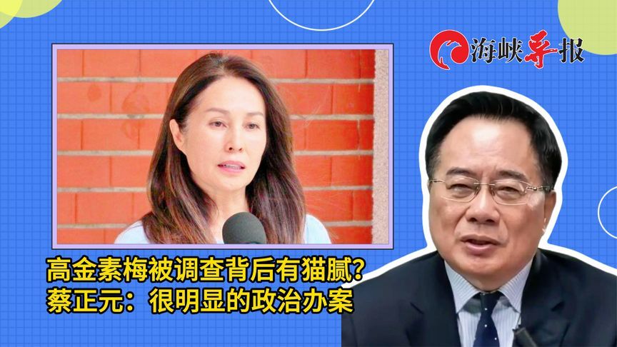高金素梅被调查背后有猫腻？蔡正元：很明显的政治办案