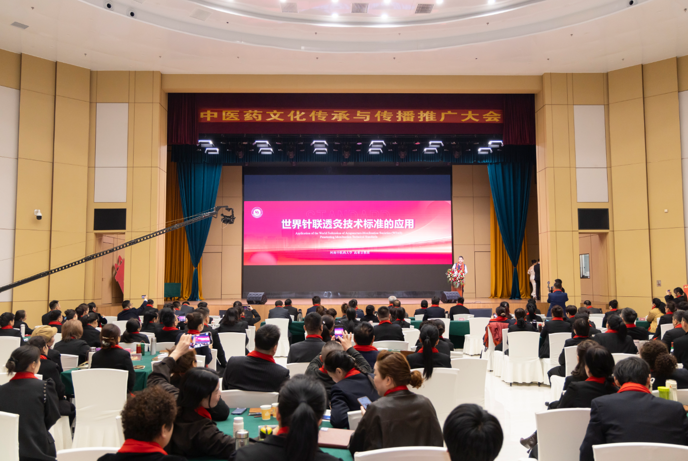 中医药文化传承与传播推广大会暨艾家养生六部曲专家研讨会举办