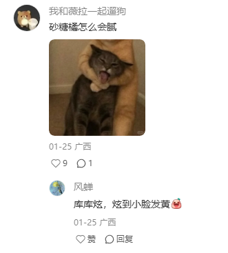 话题:你老家最让人闻风丧胆的年货是什么