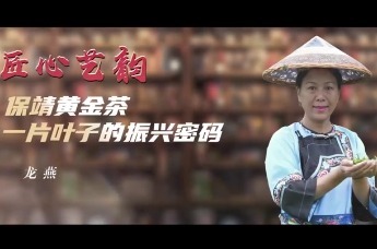 风起湖湘潮·委员讲亲历丨龙燕：保靖黄金茶 一片叶子的致富密码