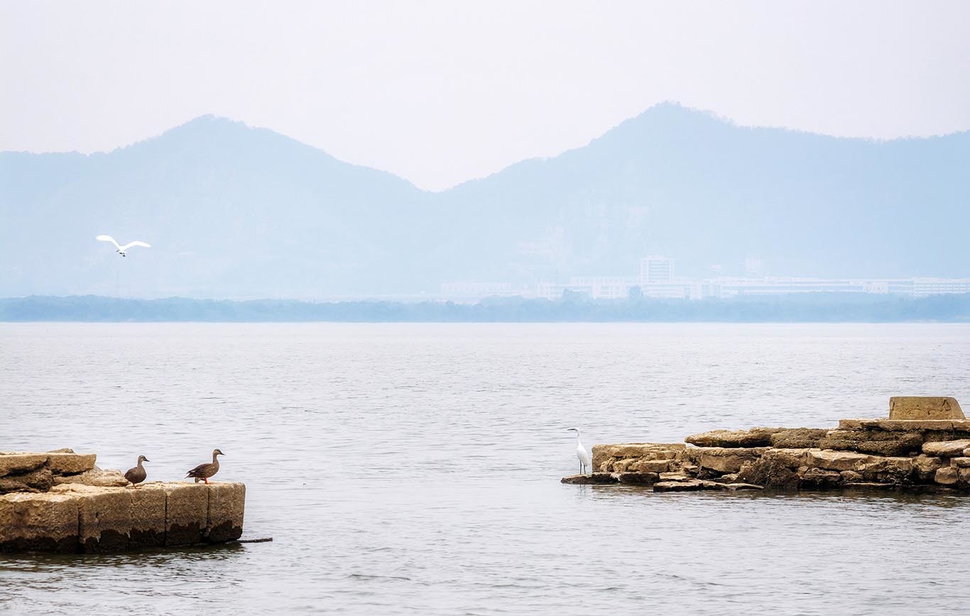 ▲灵动飞鸟与沧桑古桥相映成趣,勾勒出一幅绝美的“古桥飞鸟图”。