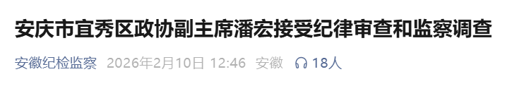 安庆市宜秀区政协副主席潘宏，被查