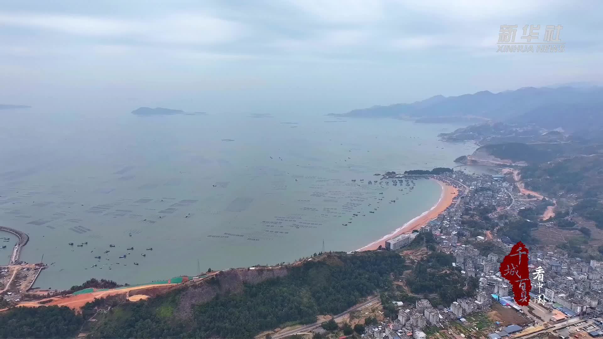 千城百县看中国｜福建霞浦：海带苗抢“鲜”上市