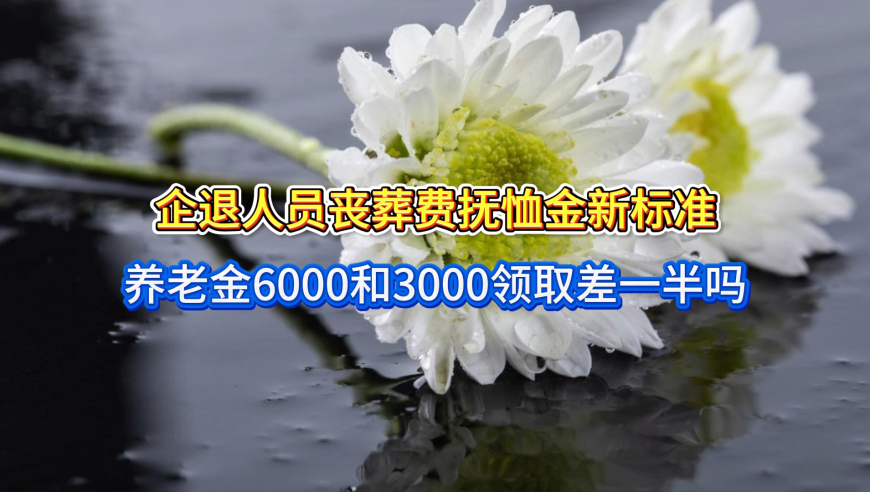 企退人员丧葬费抚恤金新标准，养老金6000和3000，领取差一半吗？