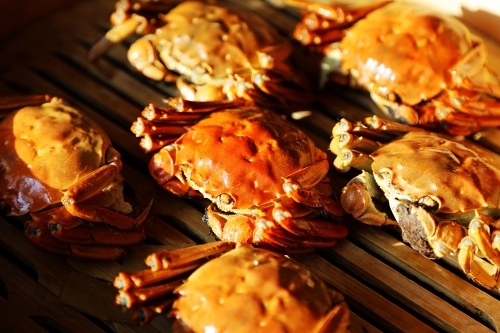 (黄河口大闸蟹 图源东营市文化和旅游局)