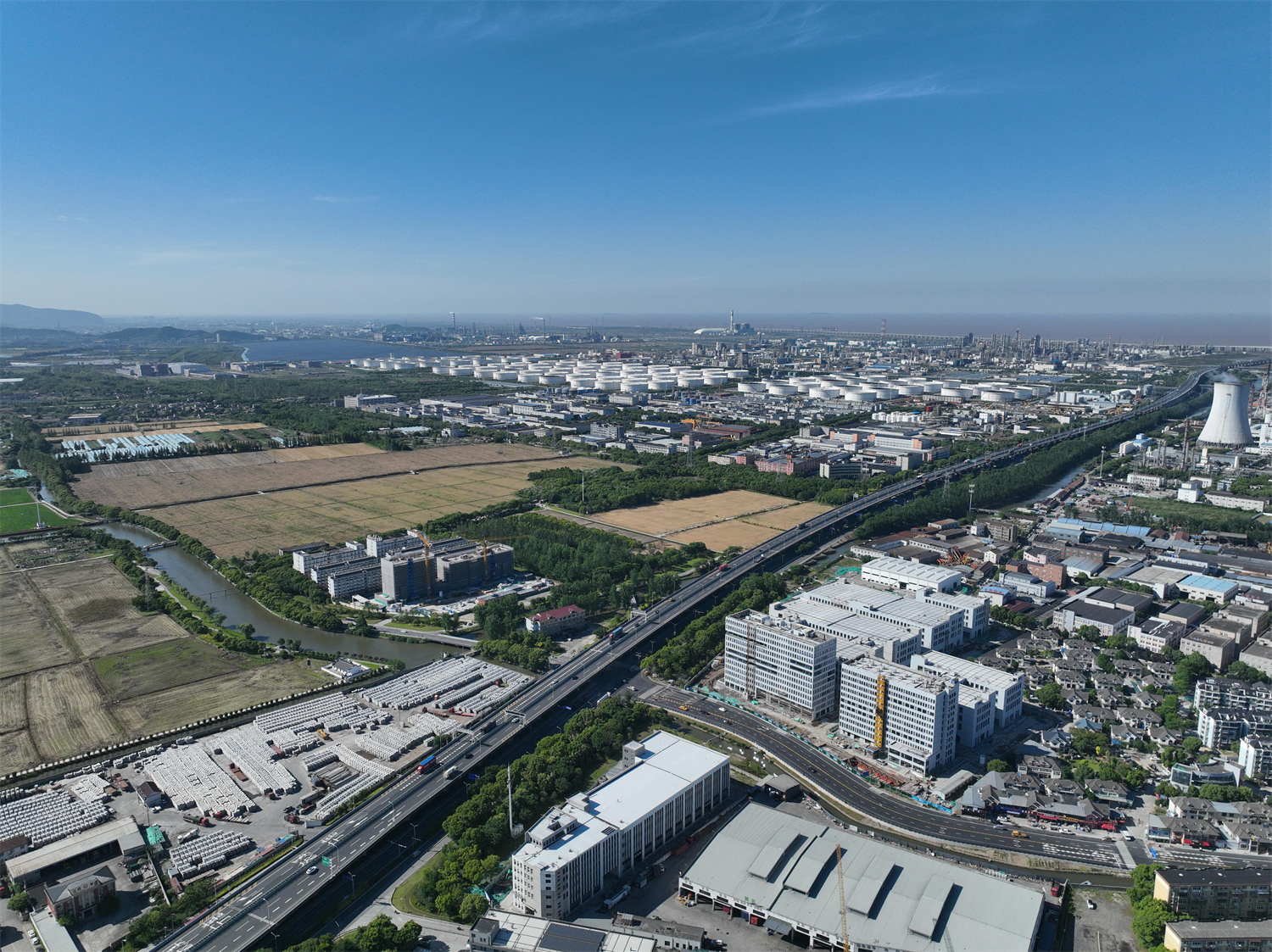 我们的2025丨镇聚能，镇真干“12345”