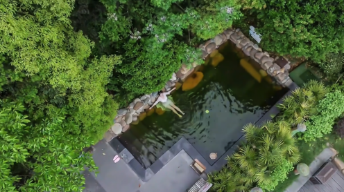 山林掩映中的石阡温泉