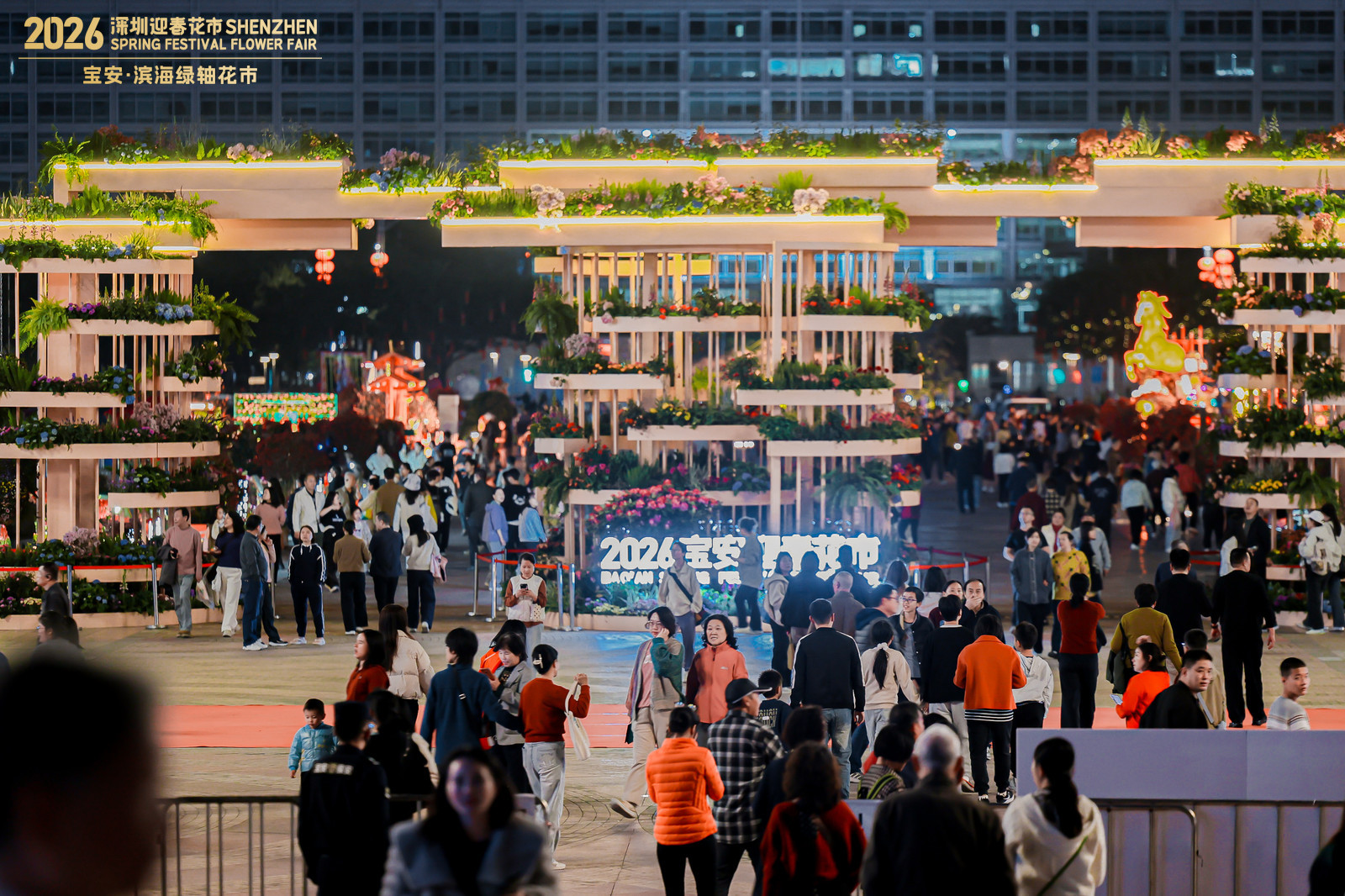 2026年宝安迎春花市开市啦!