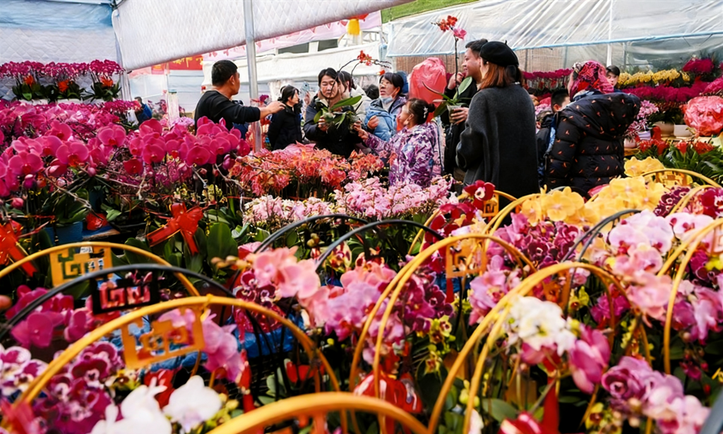 中国(青州)花卉苗木交易中心销售的各种年宵花。新华社发