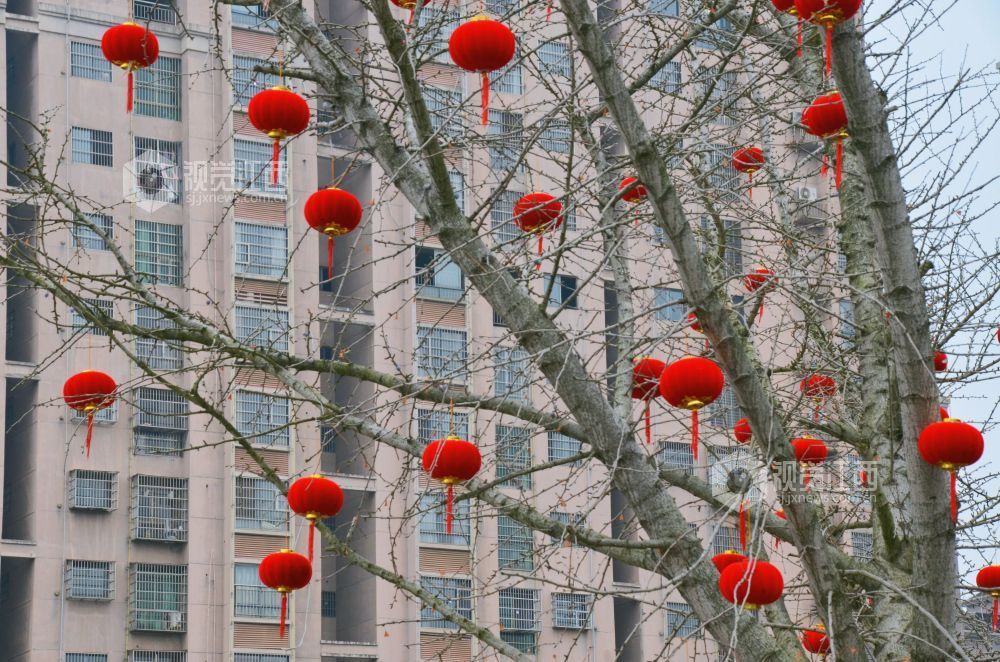 2月11日，新春临近，江西省吉安市永新县市政广场的红灯笼点缀在光秃的树枝间，与城市建筑相映成景，尽显新春喜庆。