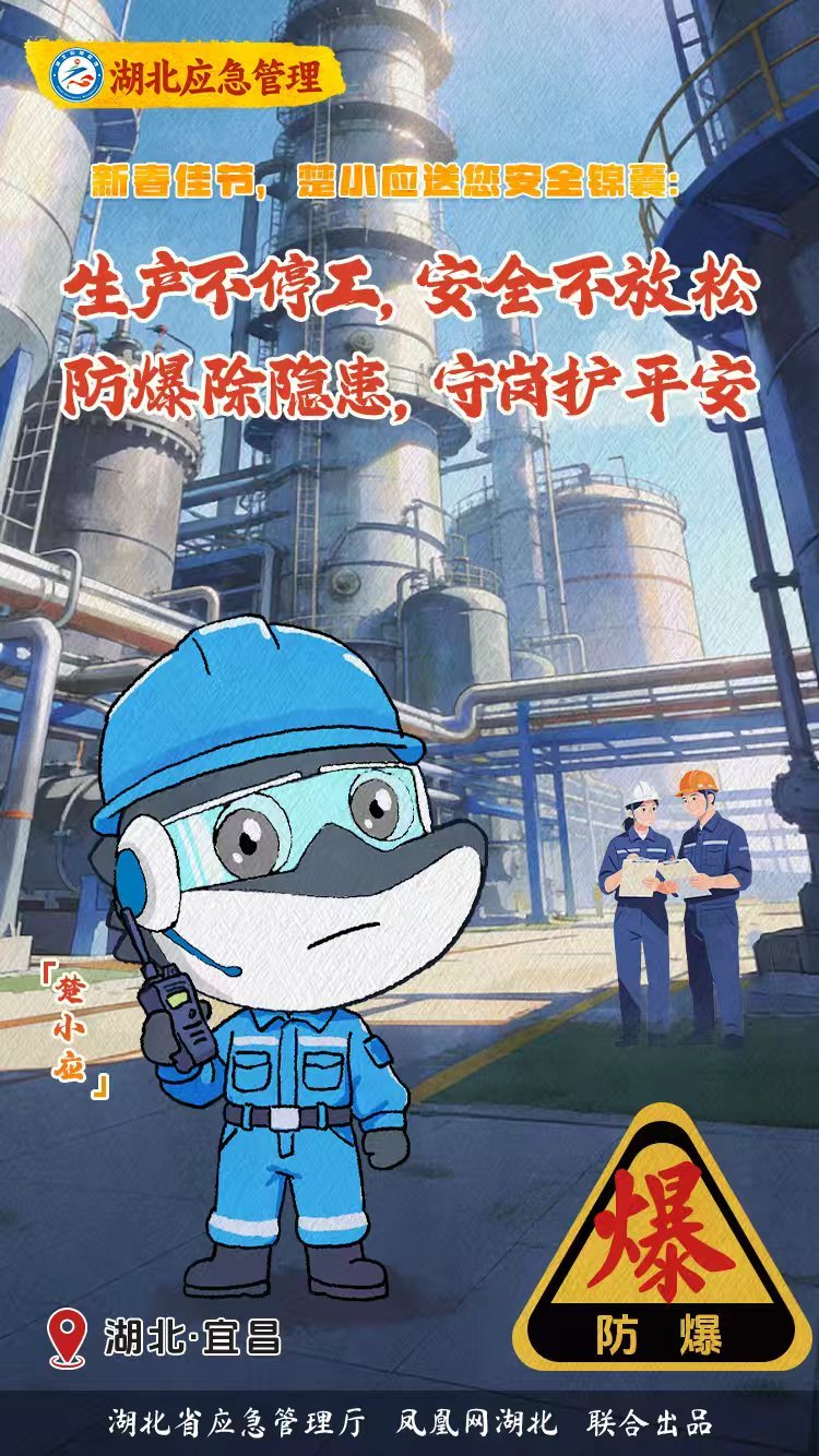 海报 | 新春佳节到 楚小应送您六大安全锦囊！