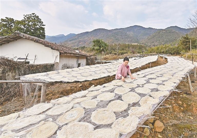 1月16日，在铅山县陈坊乡翁溪村，铅山连四纸制作技艺县级非遗代表性传承人冯静正耐心地翻着竹丝黄饼。