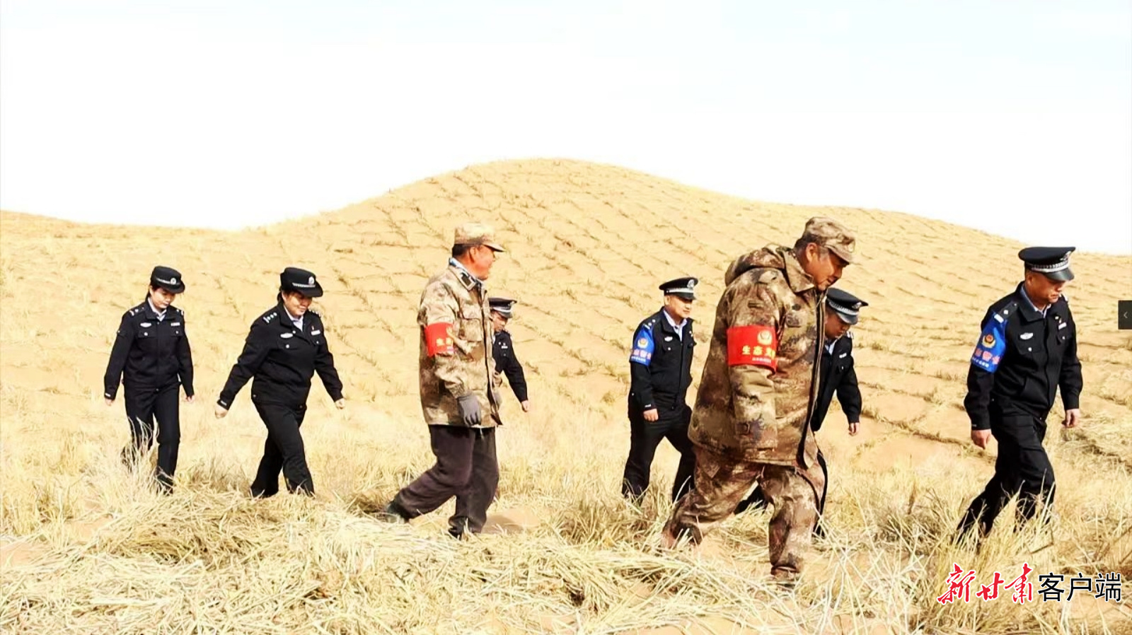 临泽县荒漠化防治取得显著成效