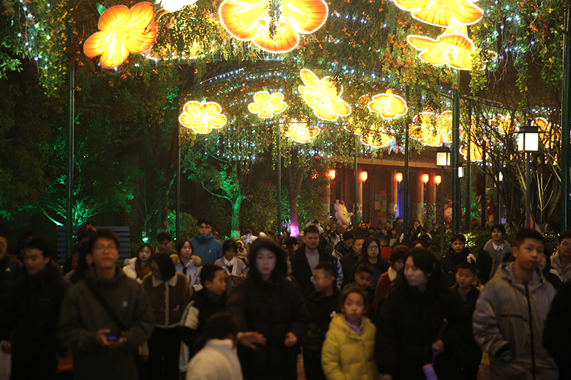 在春节期间游客摩肩接踵