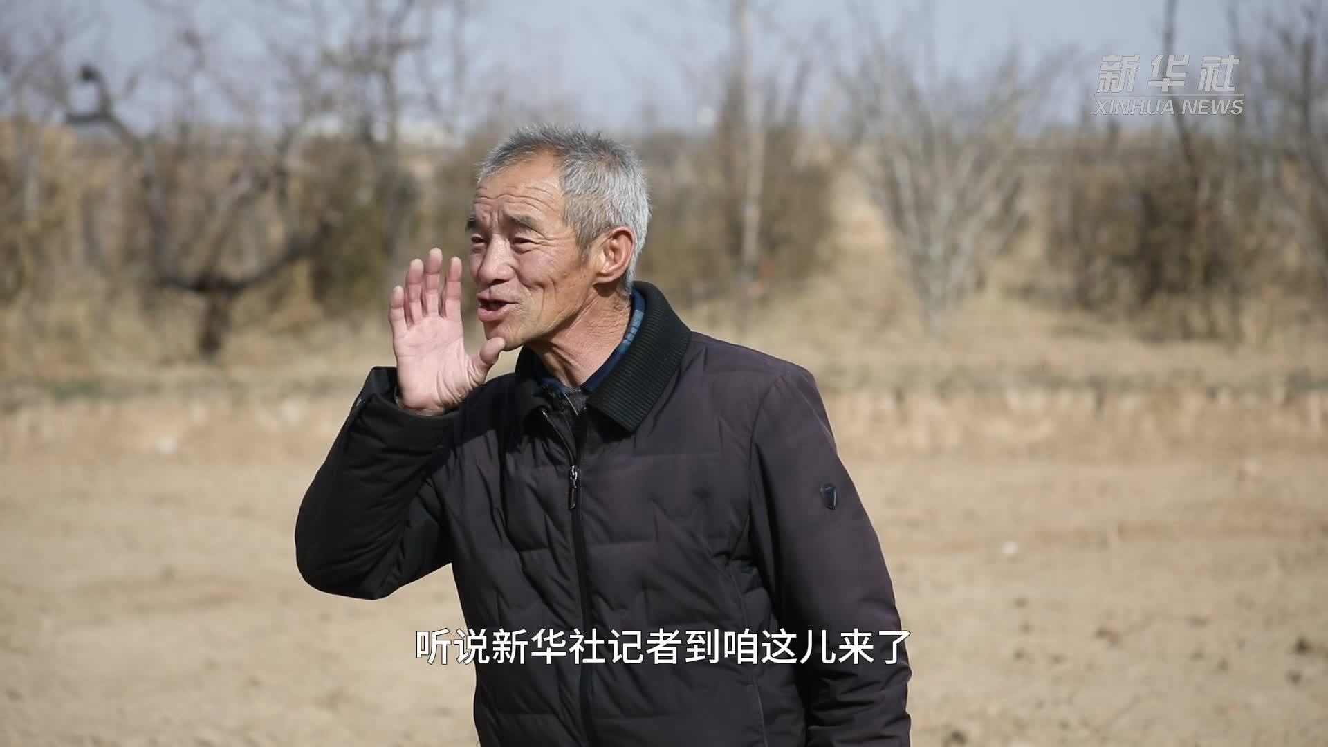 新春走基层｜闯出大名堂！乡村土地长出了网红“三根葱”