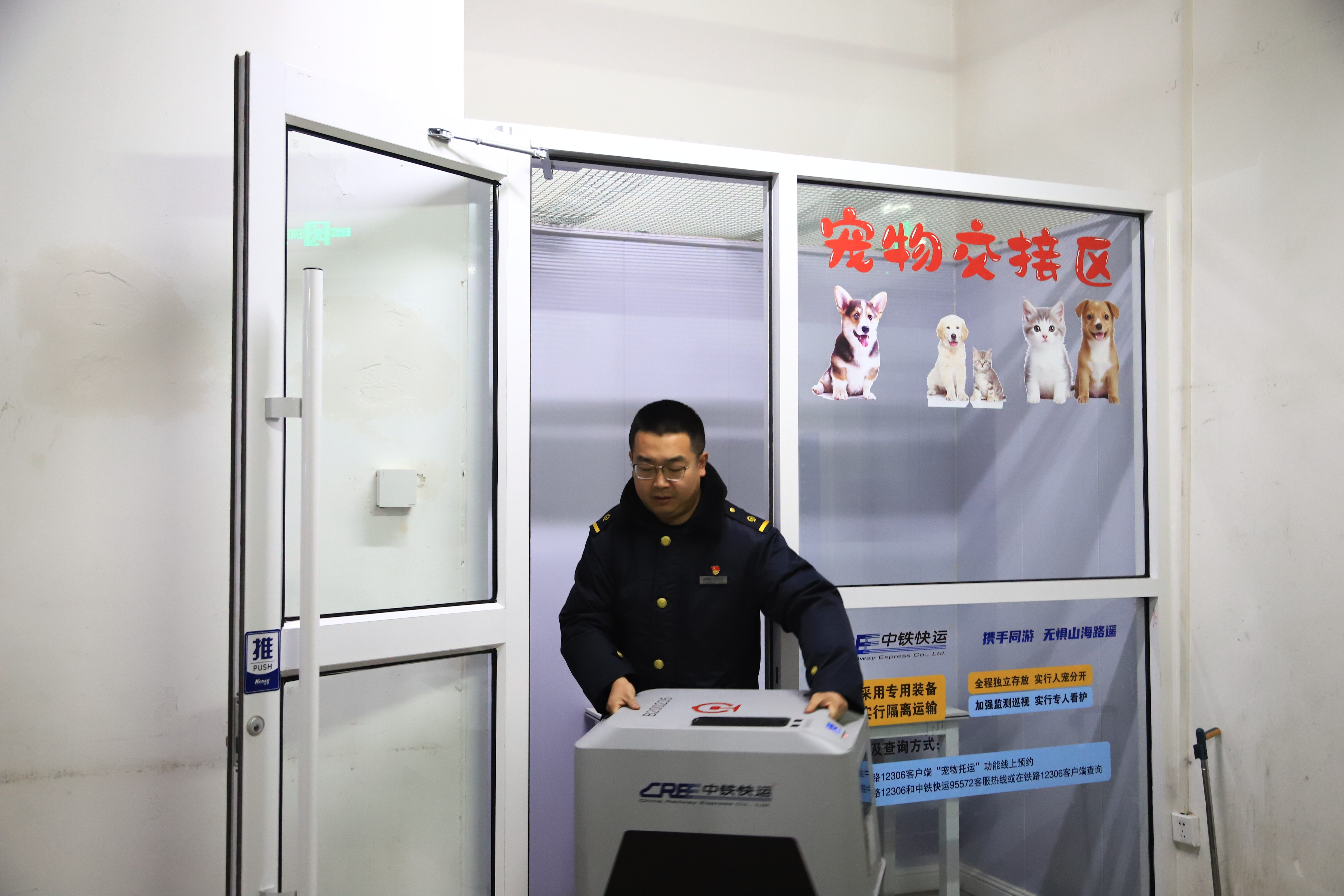 工作人员从宠物交接区接上将被托运的宠物　通讯员　王光辉　摄