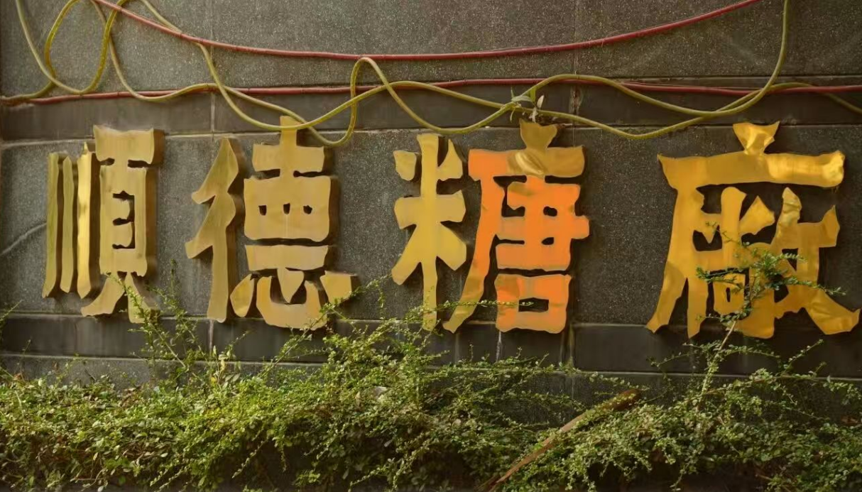 旧糖厂里开繁花！顺德这一场跨越时空的城市约会等你来