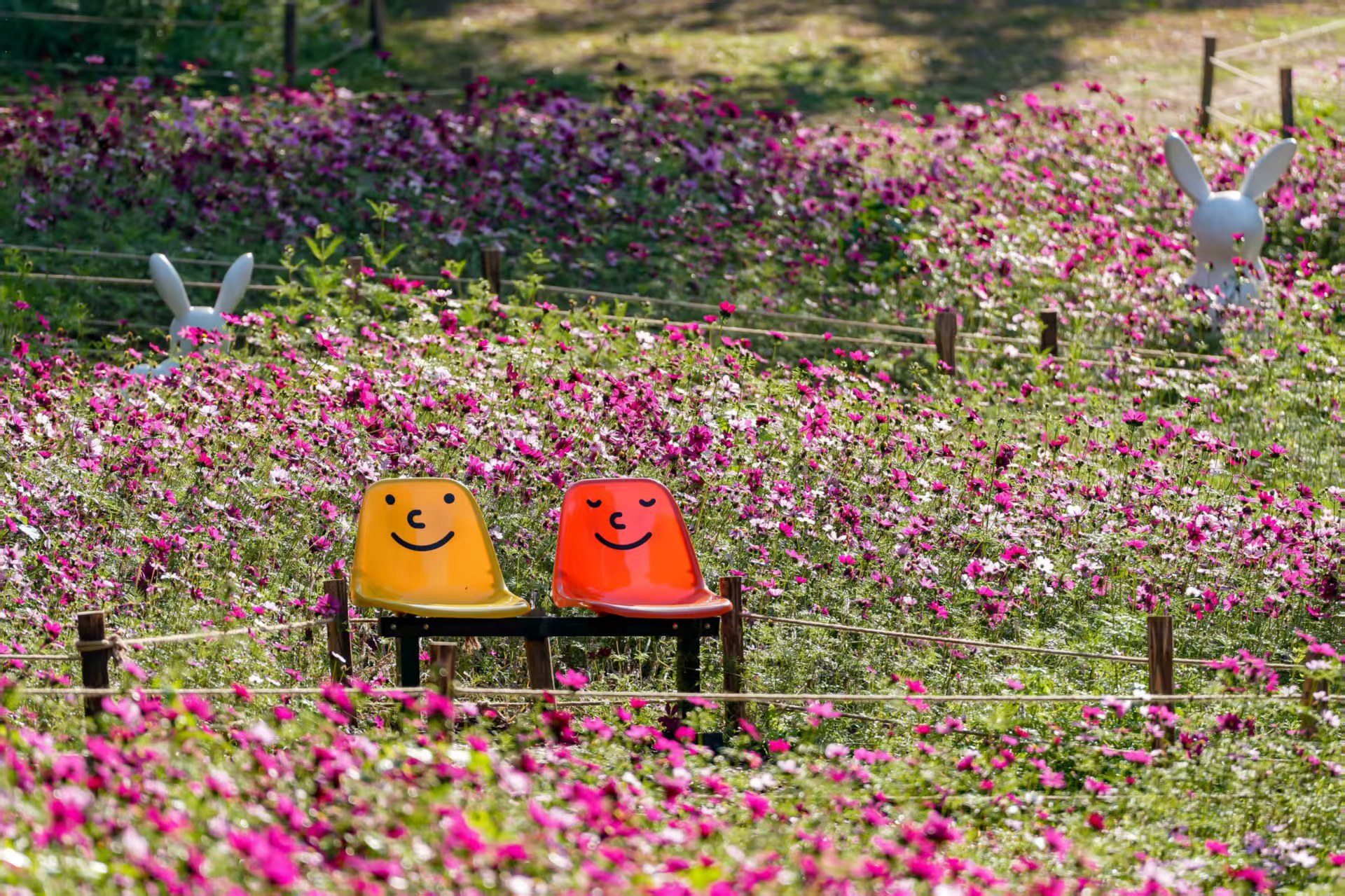 2026仙湖植物园春花节2月15日启幕：十万花卉、五千平花海惊艳迎春