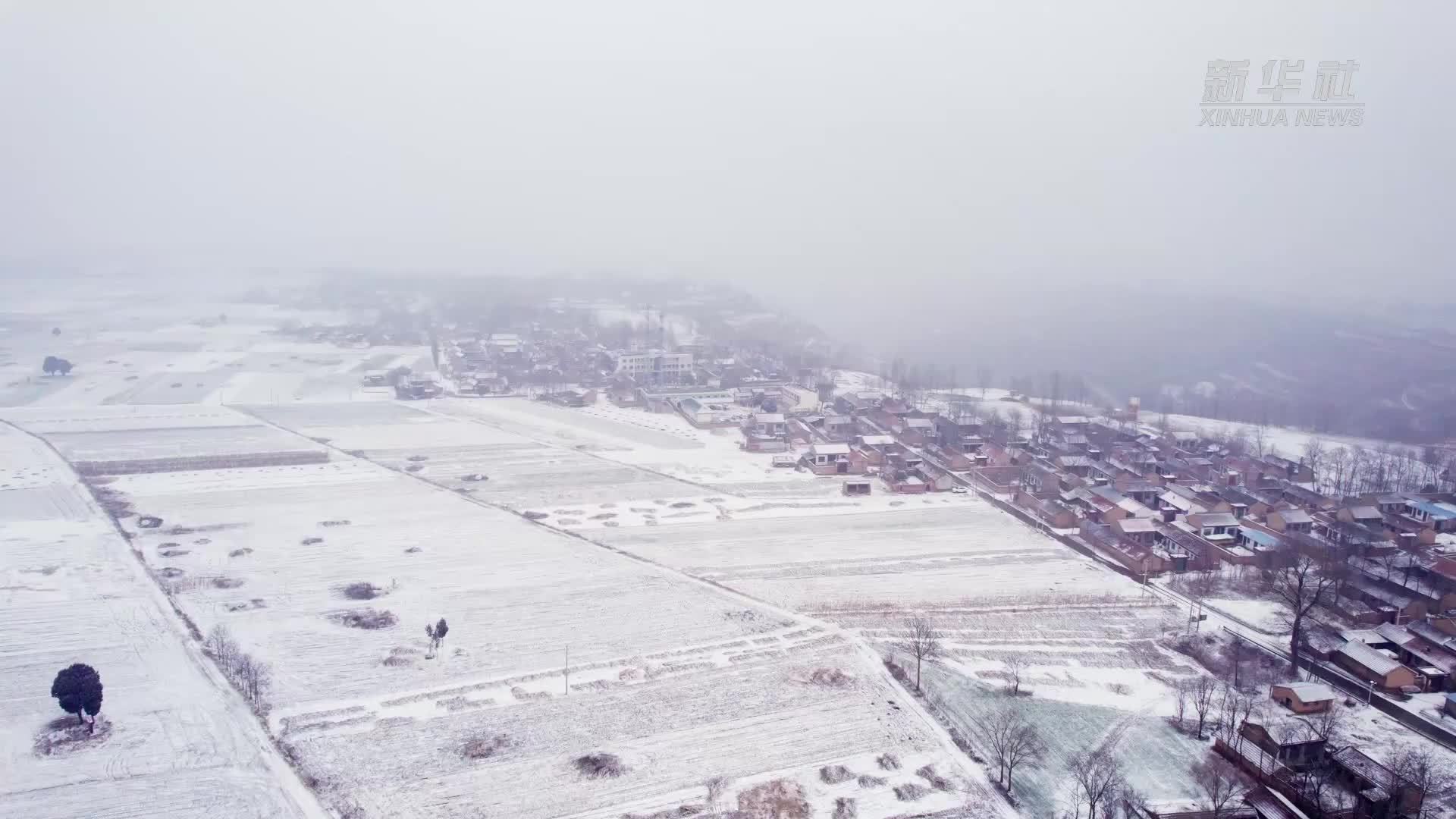 黄土高原“看”年味｜武社火 舞狮子里藏着西北人的别样年俗