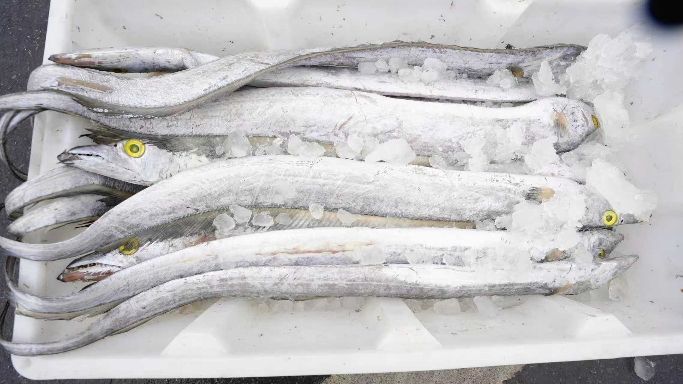 给你家的年夜饭添道“南通鲜”：年味渐浓 “鲜”机勃勃