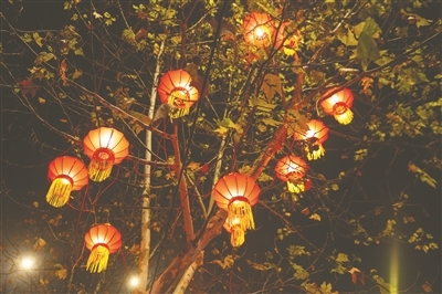 梅园大道灯笼红火