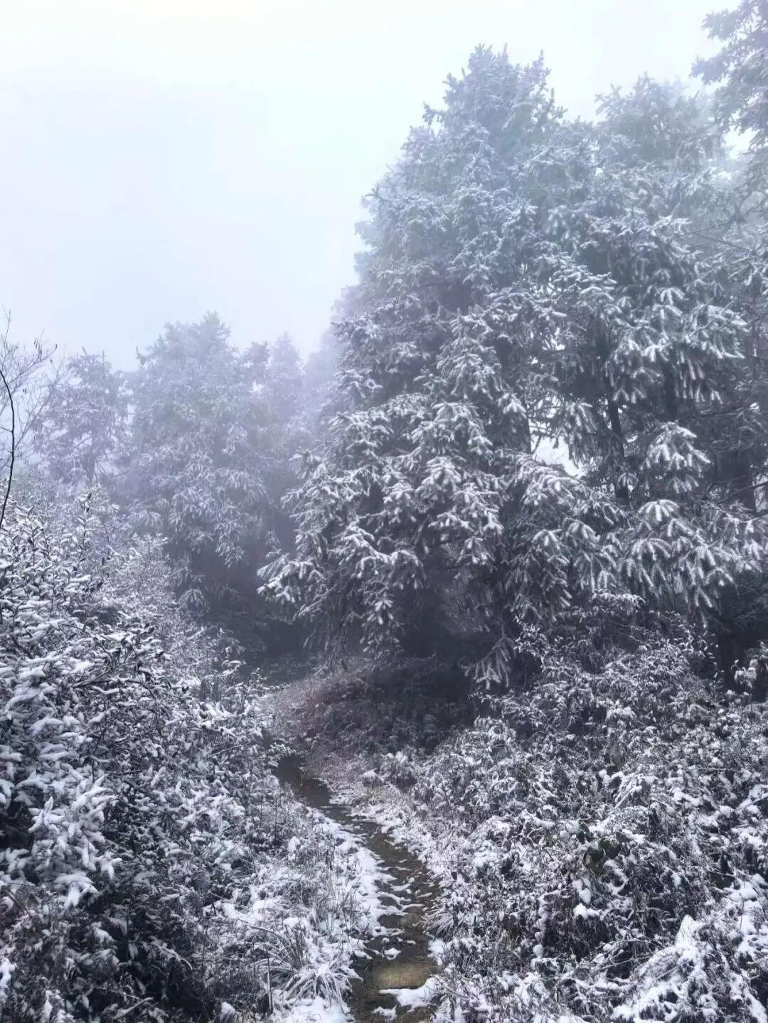 明显积雪！道路结冰！最低-7℃，非必要不上山