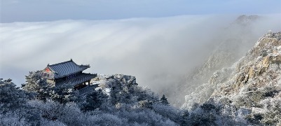 雪落岱顶琼枝绽 雾涌云涛入画来