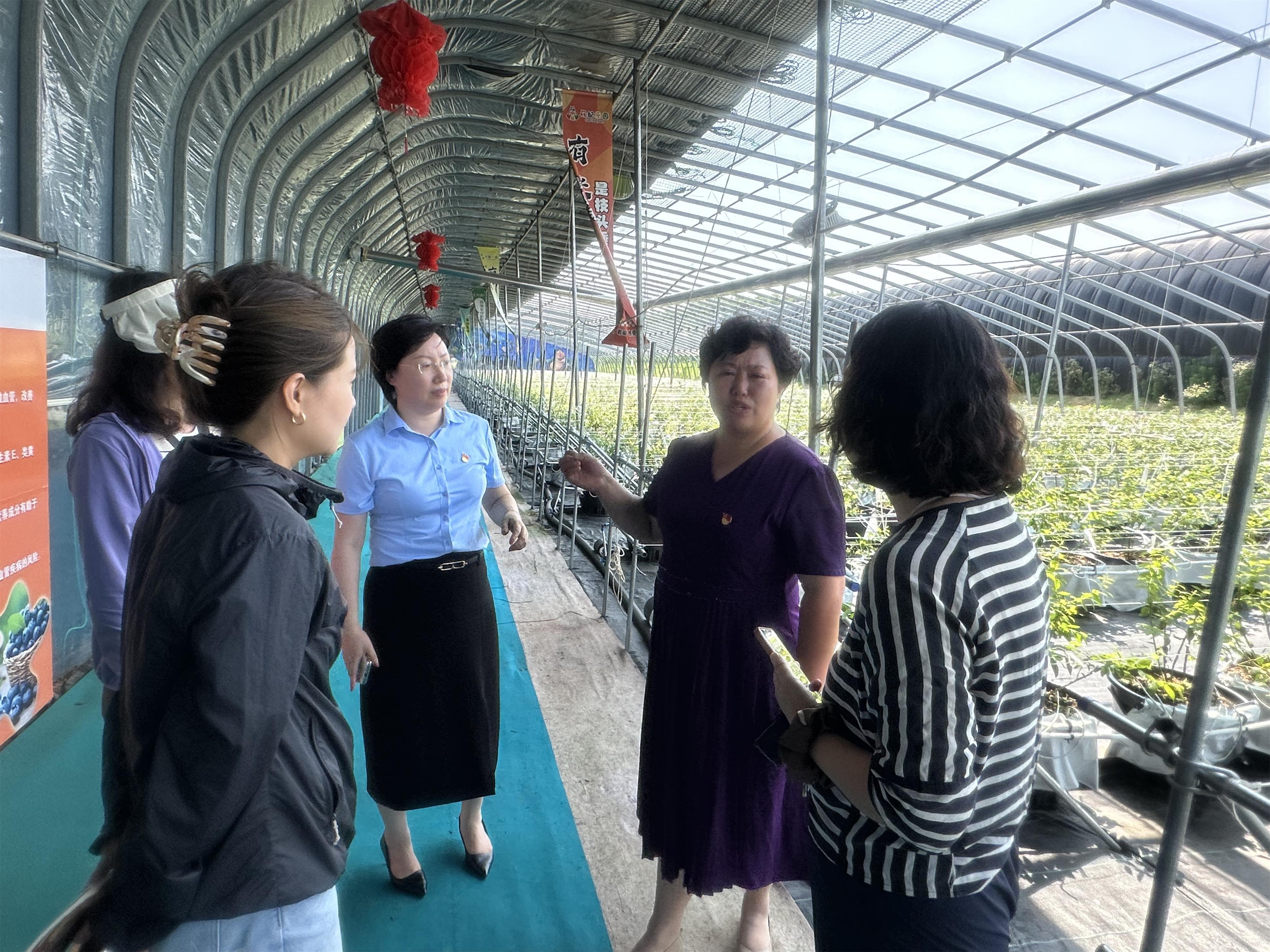 “十四五”答卷丨中国人寿涉农人身保险每年覆盖超2.7亿人次农村人口