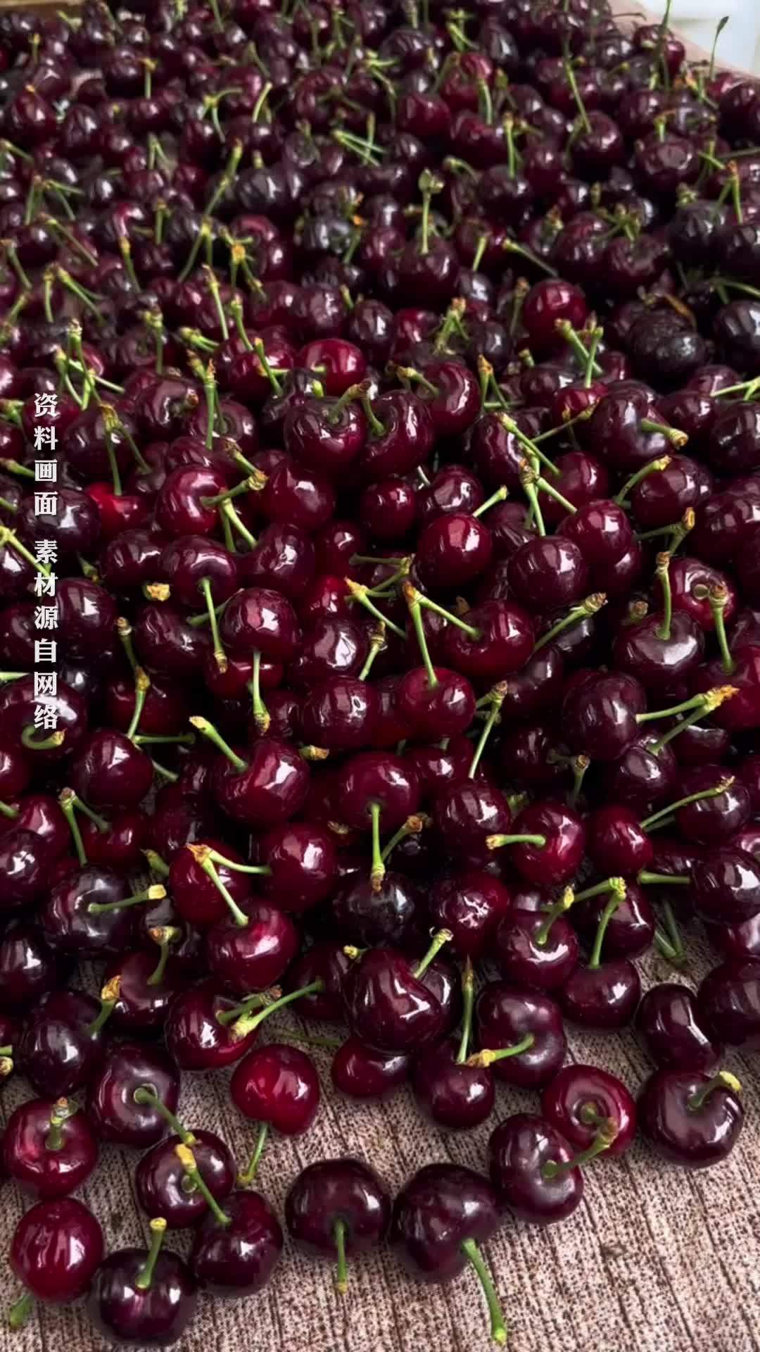 春节前车厘子现大面积“翻车”，专家：受卖家赌涨价压货影响