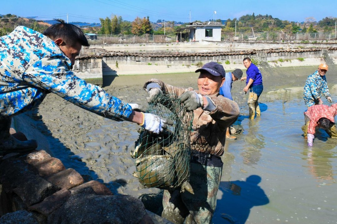 南丰甲鱼“玩”出新花样：变零食、做美妆、销全国