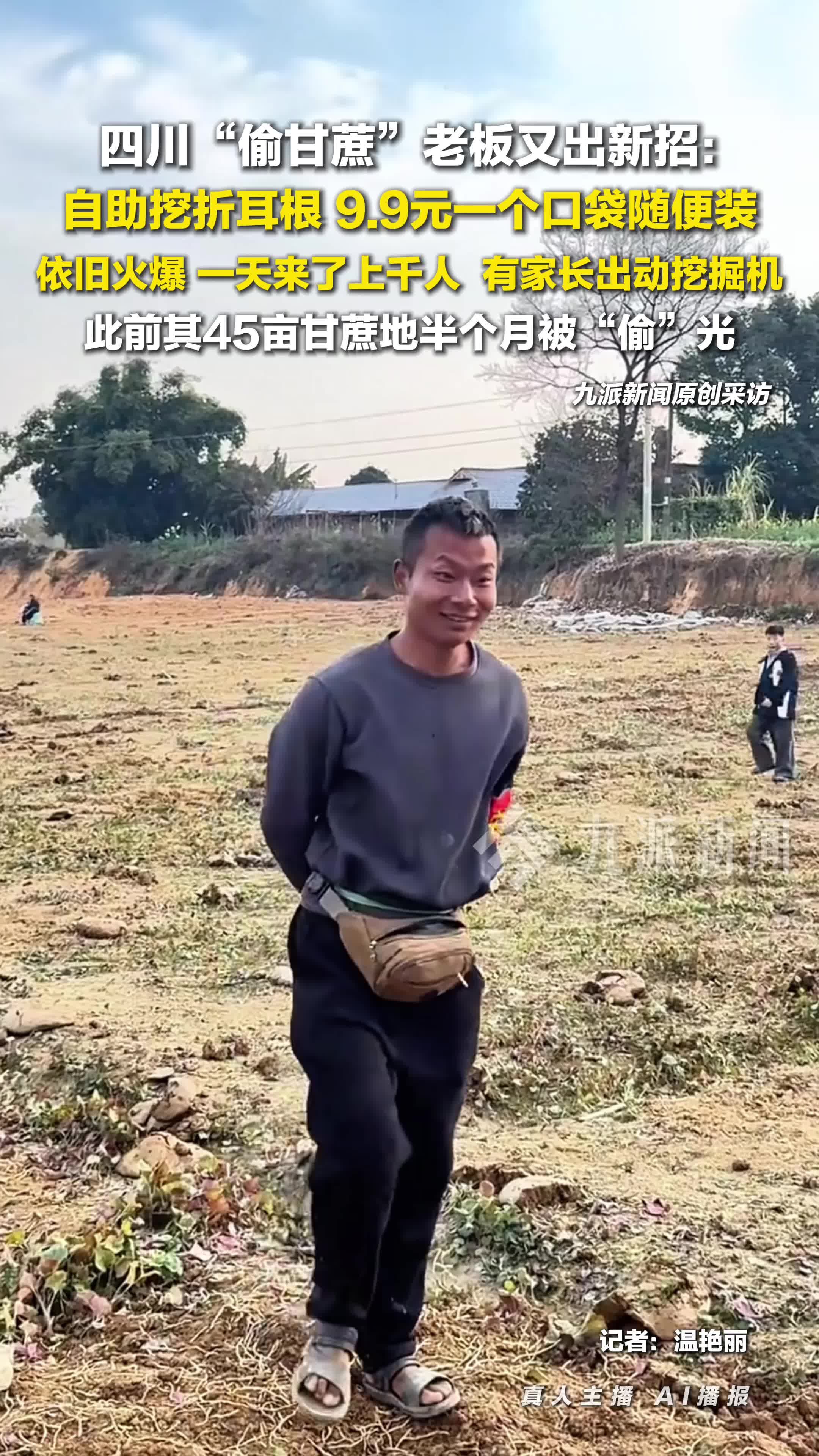 偷甘蔗老板推出挖折耳根活动：一天来了上千人，有家长出动挖掘机