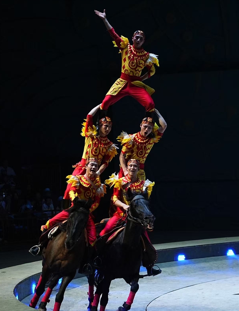 周口野生动物世界森林剧场上演精彩的马术节目。受访者供图