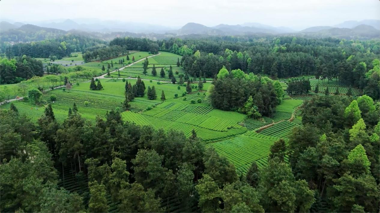 在冬日的贵州，来一场从零度到沸腾的感官奇遇｜美好十二时辰