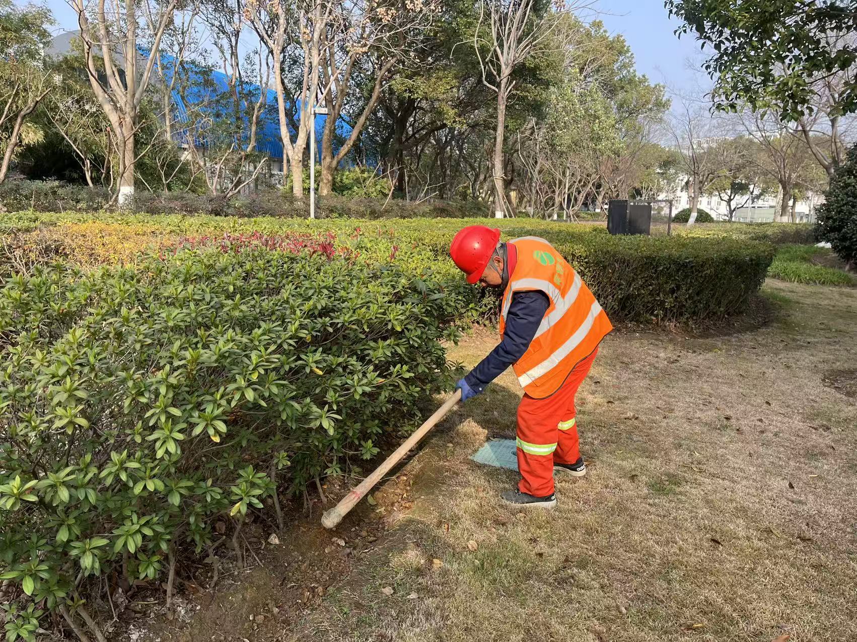 开展“年关守护”专项行动，筑牢市政绿化安全防线
