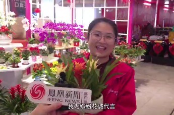 海上花市连三地 一桥年味渡乡音