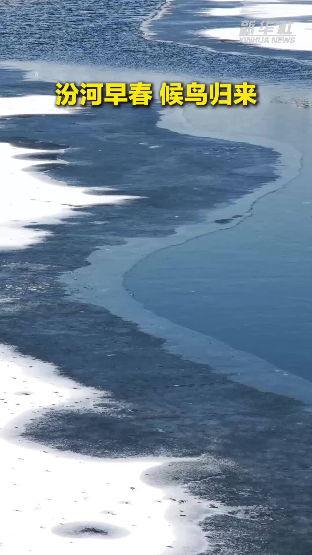 秀我中国｜汾河早春 候鸟归来