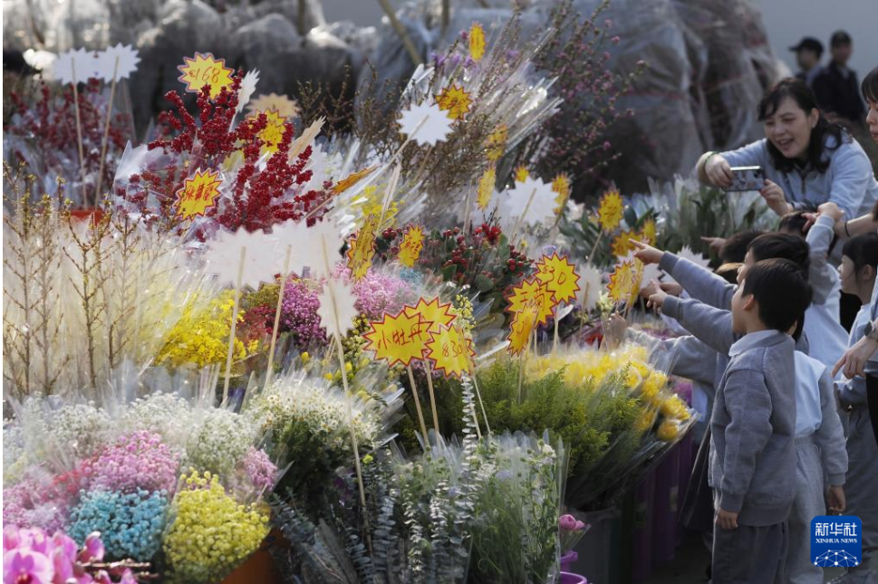 图:2月11日,在香港维多利亚公园,小朋友在欣赏年花