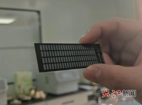 “中芯油1号”。全媒体记者沈冠楠摄